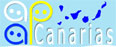 Logo APAP Canarias