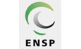 European Network for Smoking and Tobacco Prevention - ENSP 